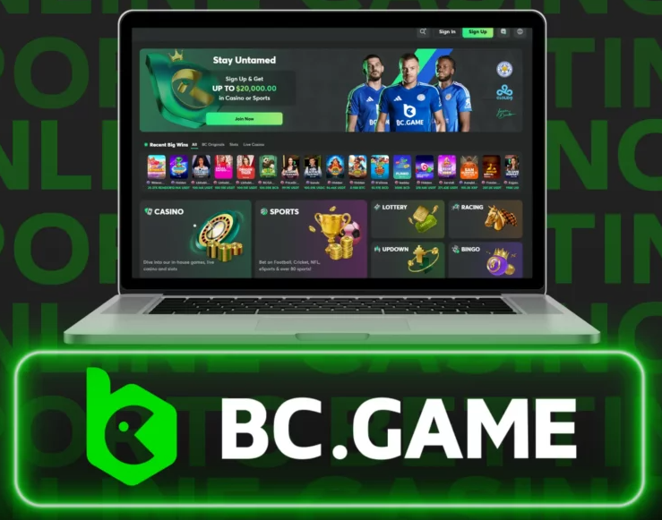 The World of Bc.G Unveiling the New Gaming Era